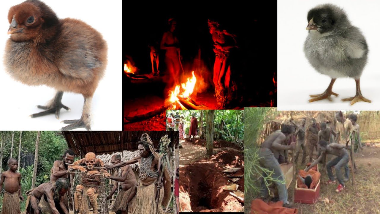 Nze temugya kundya__ Omuffu alemedde munjju__ Akakoko kakokolimye ka weeks saatu 