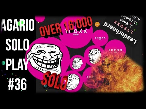 AGARIO SOLO BATTLE (over 16'000) #36 || TroxxGaming