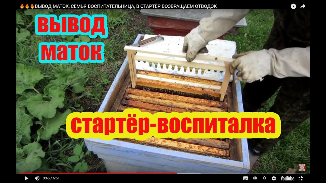 Вывод маток от а до я видео через стартер
