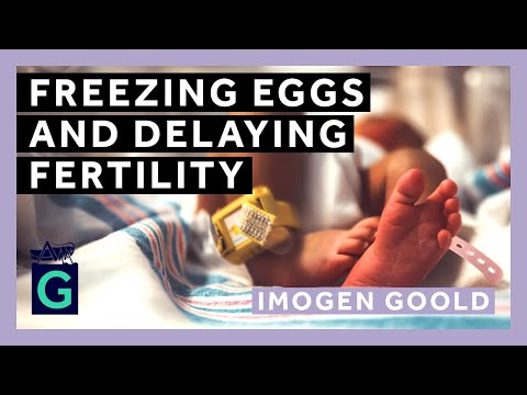 Freezing Eggs and Delaying Fertility: Law, Ethics and Society thumbnail