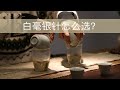 茶事Vlog｜白茶白毫银针的选品日常