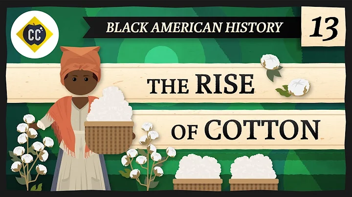 The Rise of Cotton: Crash Course Black American Hi...