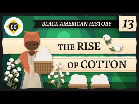 Video: Cum a ajutat ginul de bumbac la menținerea vie a sclaviei în sud?