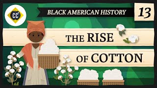 The Rise of Cotton: Crash Course Black American History #13