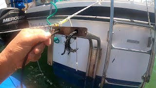 Rudder bracket bungee cords, can they be replaced on a Gemini 3200?