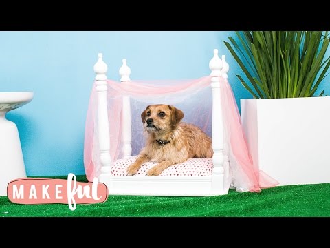 DIY Princess Canopy Pet Bed | Pet Projects