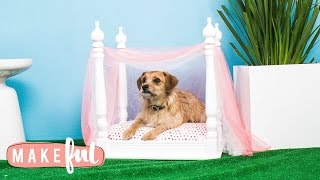 Sometimes we gotta treat our pets like royalty, and today on Pet Projects, we