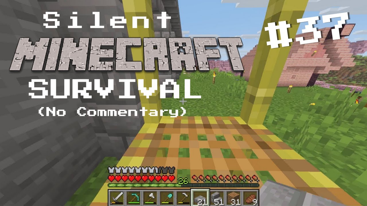 Time to Continue My House! | Silent Minecraft Survival #37 - YouTube