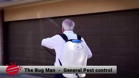 The Bug Man General Pest Control 2019