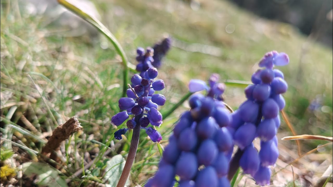 DOĞANIN İÇİNDE TAŞ EVLERİYLE MEŞHUR ANTALYA ORMANA İLÇESİ