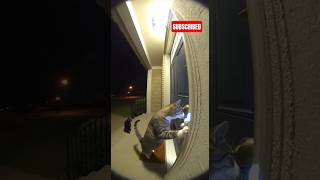 Cats Ring The Doorbell And Run Away Real Doorbell Camera Footage