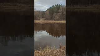 Vimbu cope Gaujā. #cope #lv #fish #timetorelax