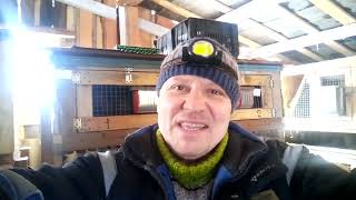 видео: И снова о кормах / Чем кормить кролика картинка: И снова о кормах / Чем кормить кролика