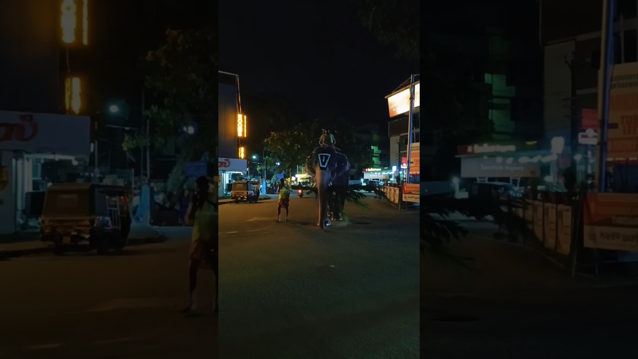 ആശാനേ കുറച്ചുനേരം പട്ടയോന്ന് പിടിക്കാമോ 😱😱#shortsfeed #shorts #viral