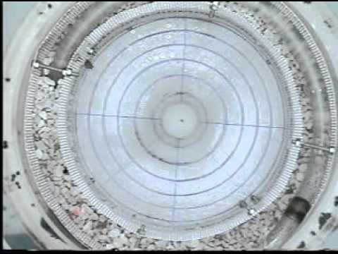 Experiment III: Radial Inflow (Fast)
