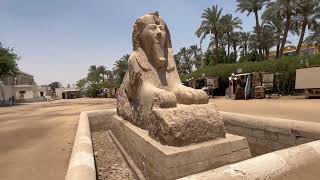 Walking Through Ancient Egypt: Memphis, Saqqara & The Great Pyramid Tour