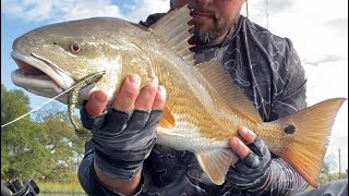 Slot Redfish Browns Creek