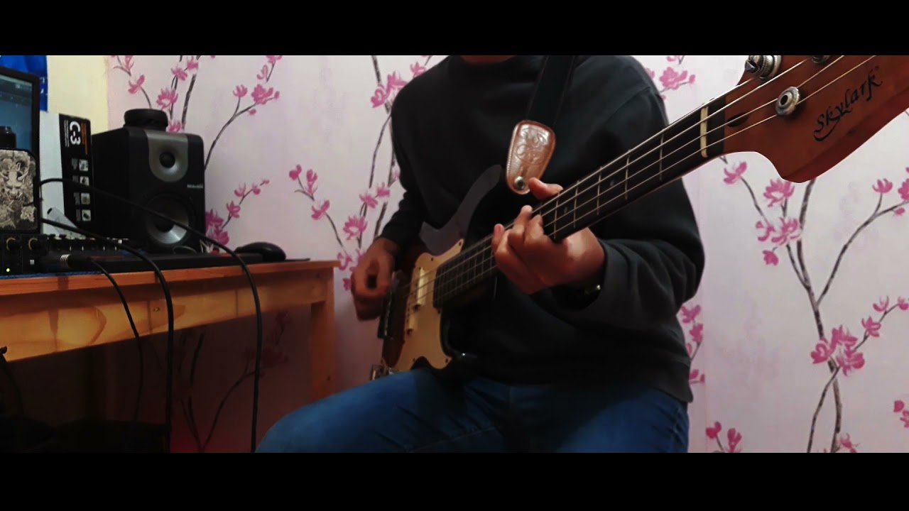 andra and the backbone - musnah (bass cover)