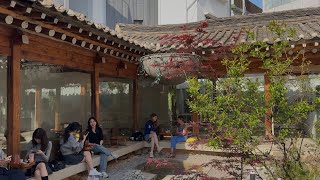 Seoul, South Korea — May 2025 — coffee shops, restaurants & skincare