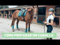 Cómo preparar un caballo || Tutorial