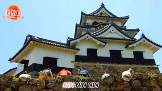 Dimensions In Danger Morph But With Super Sentai