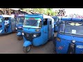 Gimbii Onkoloolessa 13 2017 Gimbii Onkoloolessa 13 2017
