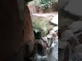 Crocodile's So close I can almost Touch em 👀