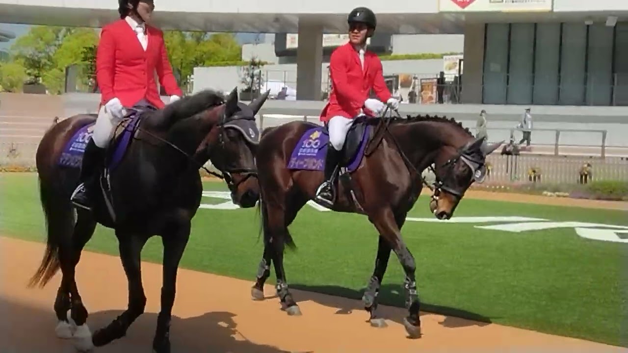 2025/05/03 ディープボンド誘導馬デビュー (京都競馬場) - YouTube