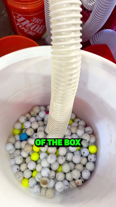 Craziest Business Idea! 💡🤯🔥