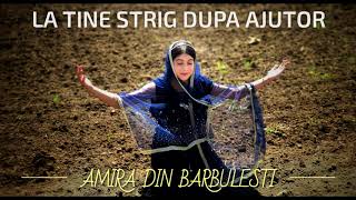 Amira din Barbulesti - La tine strig dupa ajutor