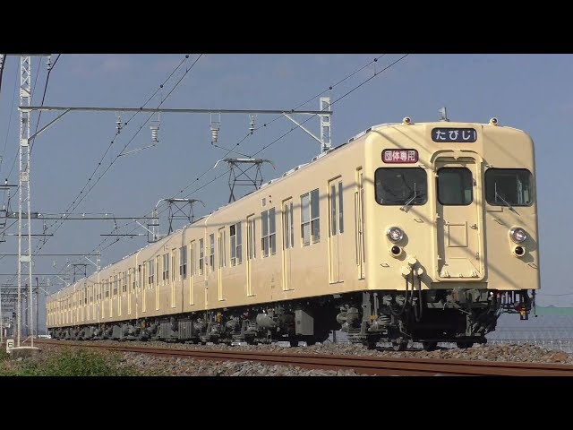 団臨】東武8000系8111F(セイジクリーム) 団体専用たびじ 東武金崎