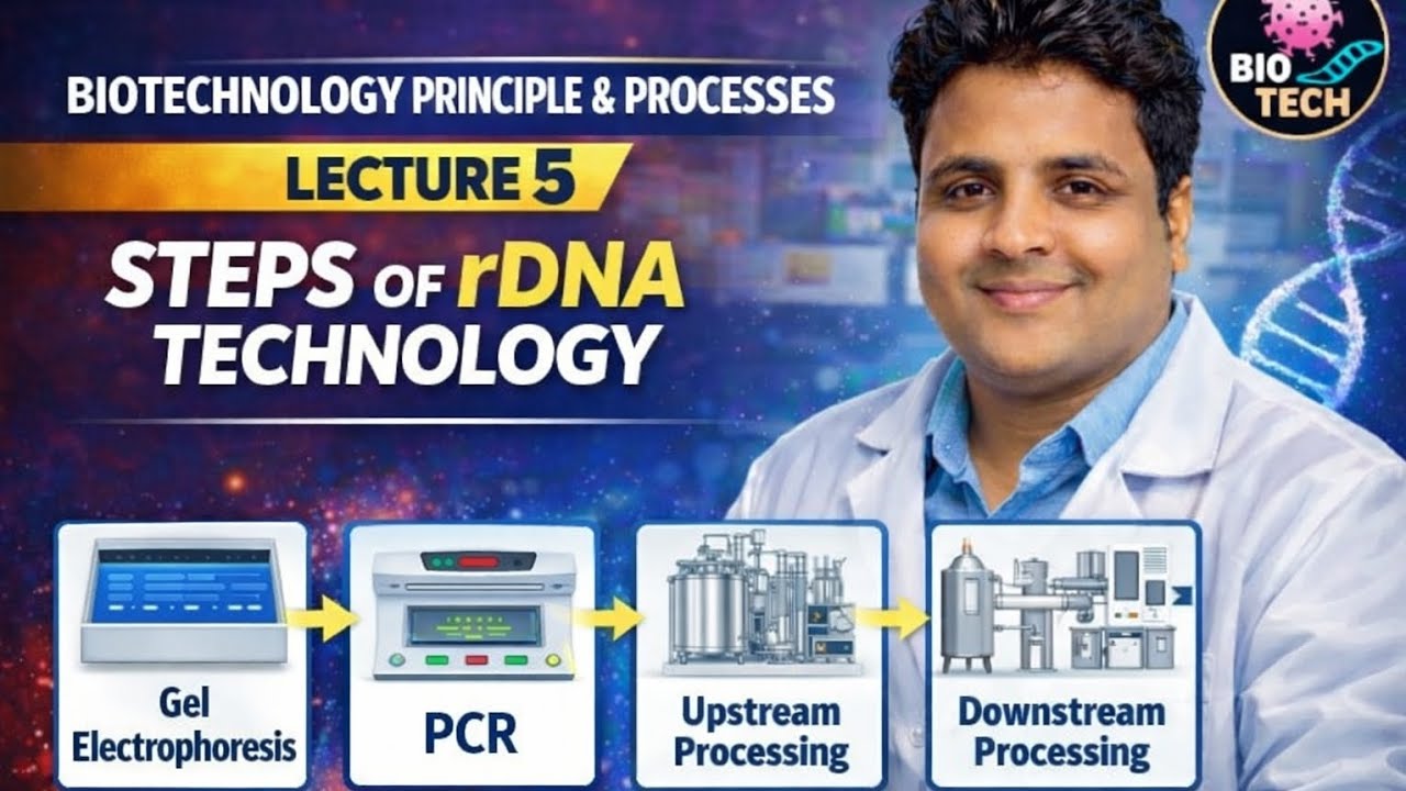 Biotechnology: Principles & Processes Steps of rDNA Technology PCR Gel Electrophoresis  Bioreactors 