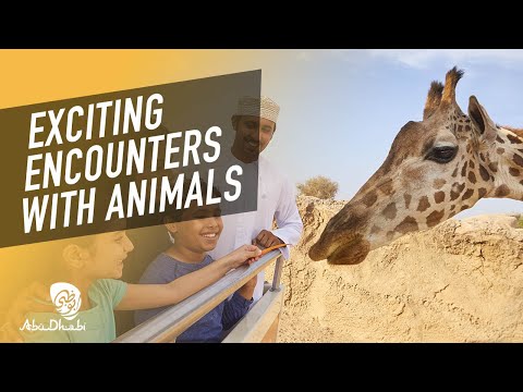 Feed giraffes, ride camels at Al Ain Zoo | Visit Abu Dhabi