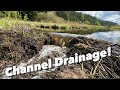 Draining beaver dam