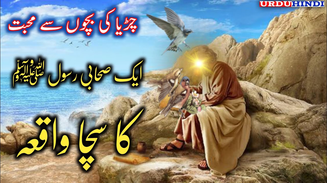 Aik Sahabi Rasool Ka Waqia | Chidiya Ki Kahani | Love Of Mother | Emotional Video Urdu & Hindi