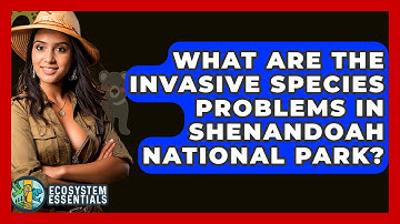 What Are The Invasive Species Problems In Shenandoah National Park? - Ecosystem Essentials