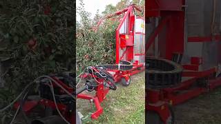 Apple 🍎🍎 Harvester Felix Z || Made By Weremczuk Agromachines Poland || #Shorts