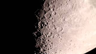 MVI 1366