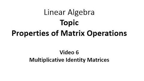 Multiplicative Identity Matrices