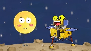 Animation video: what