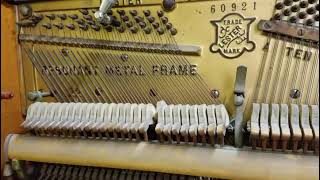 Hear Piano Note E2 Beautiful Harmonics