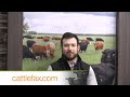 CattleFax Closing Bell: Beef Market Outlook – March 1, 2024