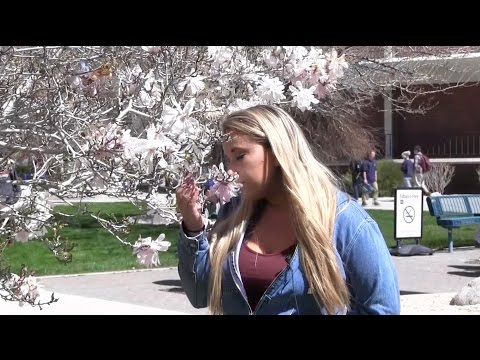 springtime-on-campus-at-unr