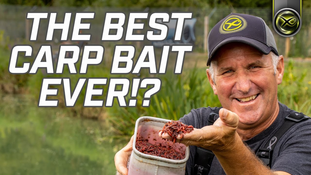 CATCH MORE ON DEAD MAGGOTS!  Mark Pollard's No1 Carp Bait! 