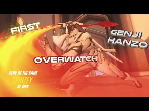 First Overwatch Minitage
