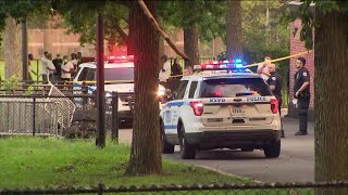 Reports of NYPD slowdown