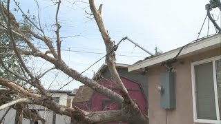 Albuquerque high winds result in morning power outages