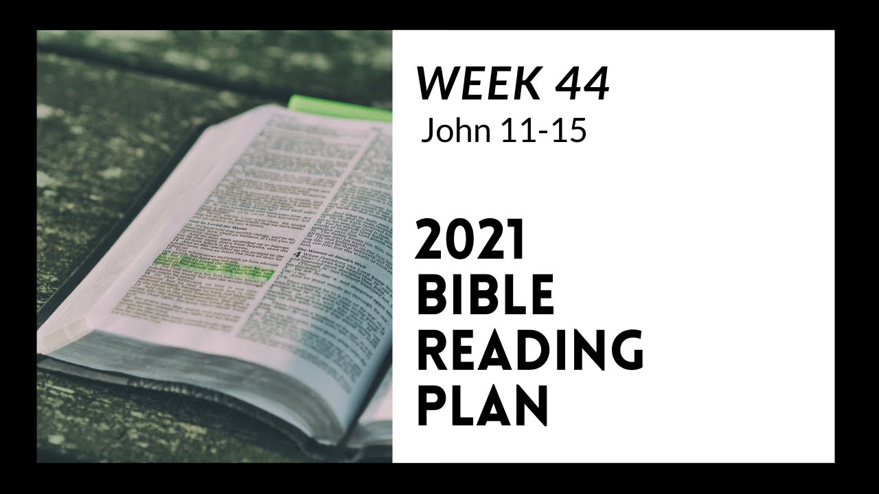 Week 44 John 11 15 YouTube