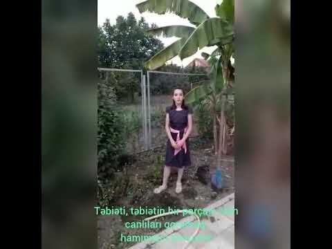 Video: Təbiətə Qayğı Göstərmək