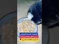 الاكل الصحي للجراوي وبدايه الفطام الاكل الصحي للجراوي وبدايه الفطام